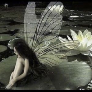 Meet your Posher, Chelsea